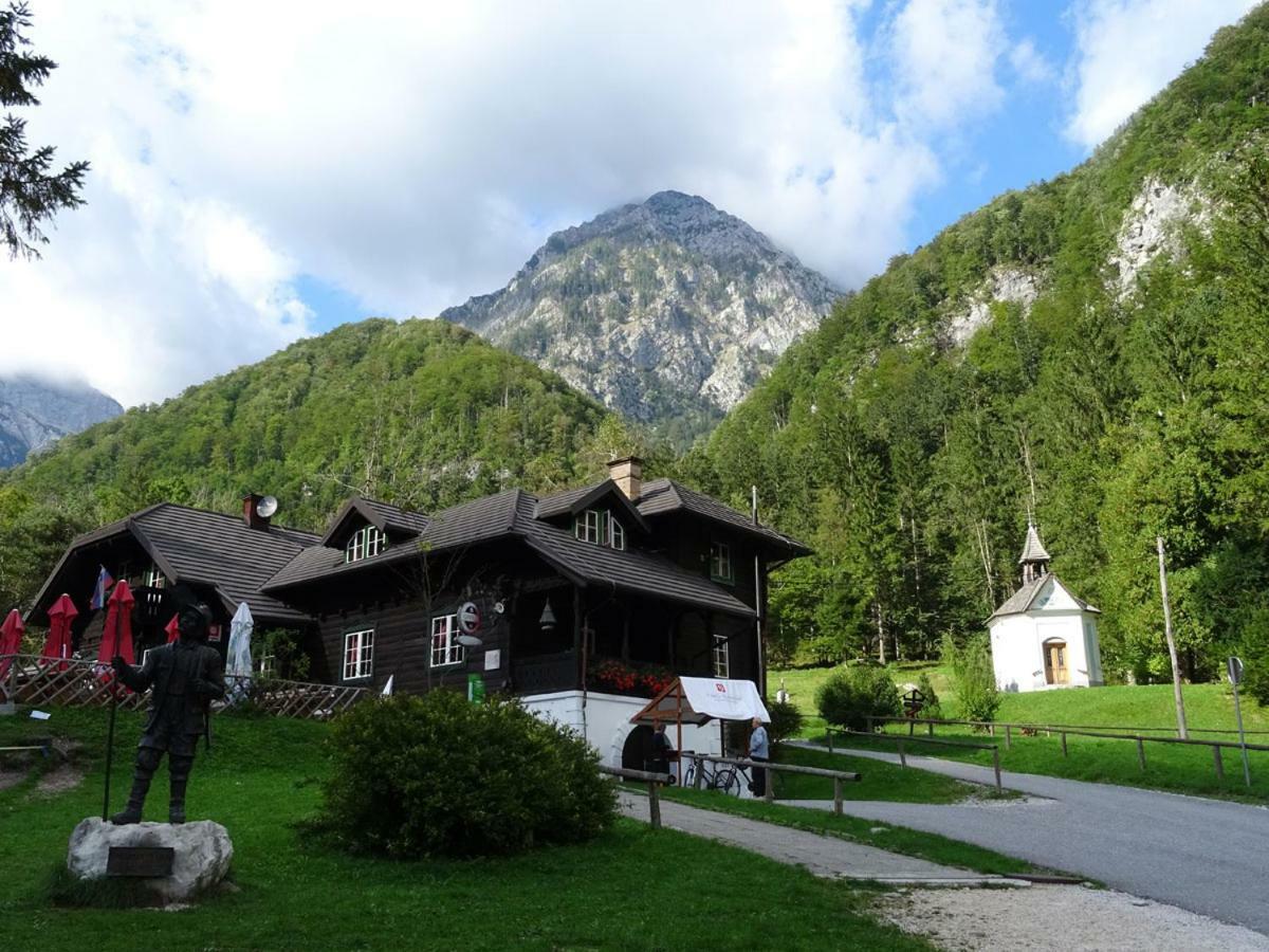 Lepa Lopa Homestay Stahovica